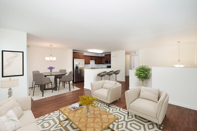 Dining/Living Room