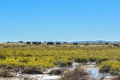 0 County Road 15 5, Blanca, CO 81123 - photo 6