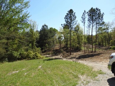 999 Ben Baker Rd, Somerset, KY 42501 - photo 3