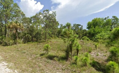 27111 Chamois Dr, Punta Gorda, FL 33955 - photo 6