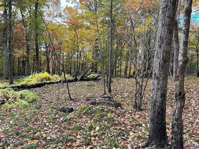 1 W Hill Rd, Austerlitz, NY 12017 - photo 3