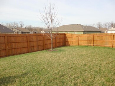 backyard 1.JPG