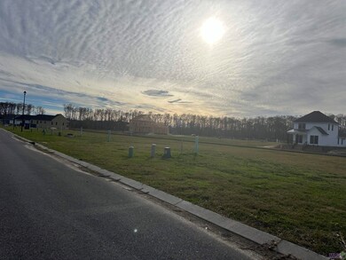 12820 St Lucia Dr, Maurepas, LA 70449 - photo 4