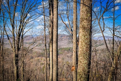 LOT 1 Scouts Overlook Ln, Morganton, GA 30560 - photo 2