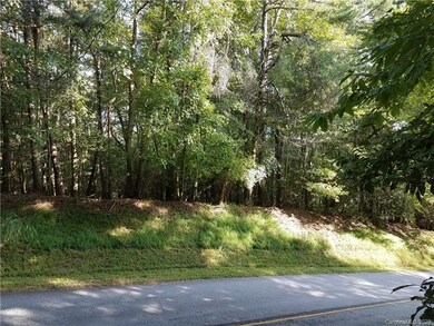 Put your driveway here.