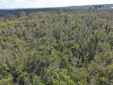0 Omeka Rd unit 725488, Volcano, HI 96785 - photo 2