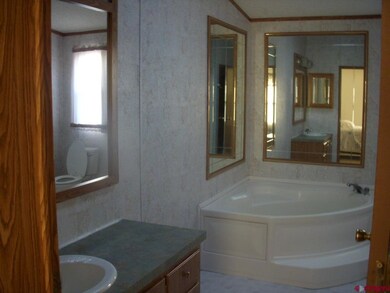 9th Street, Cedaredge, CO 81413 - photo 6