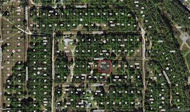 Property Appraiser View