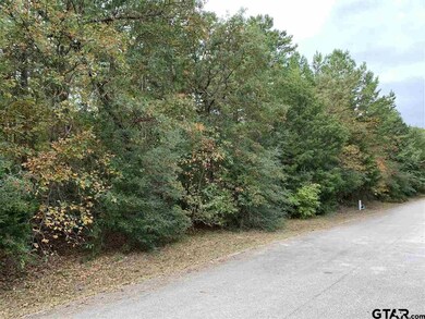 14676 Jade Forest Trail, Tyler, TX 75707 - photo 3