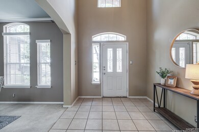 24011 Buckthorn Pass, San Antonio, TX 78261 - photo 4