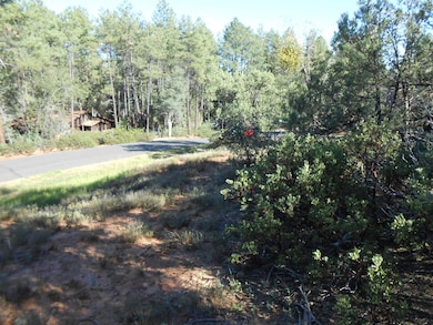 389 W Apache Trail, Pine, AZ 85544 - photo 3