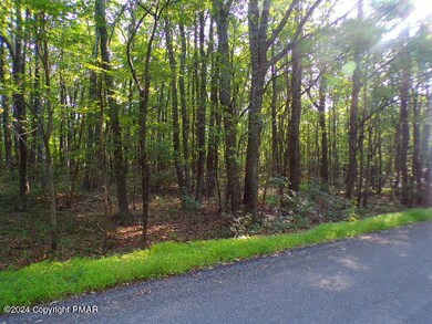 2505/2511 Green Forest Ct, Polk Township, PA 18058 - photo 3