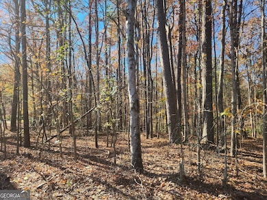 0 Woodland Creek Place unit 10421130, Hull, GA 30646 - photo 4