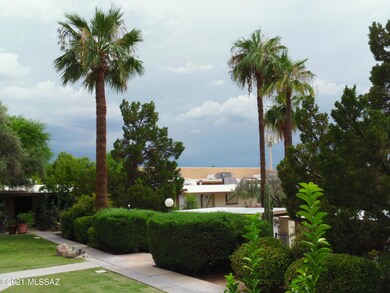 Mature Landscaping