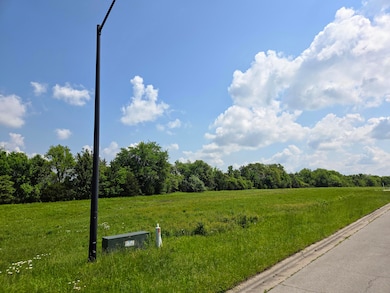 825 E Colter Dr unit Lot 10, Republic, MO 65738 - photo 2
