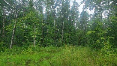 N4651 Pennington Rd, Prentice, WI 54556 - photo 7