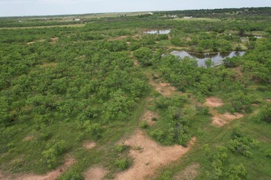 Tbd Fm 600, Anson, TX 79501 - photo 6