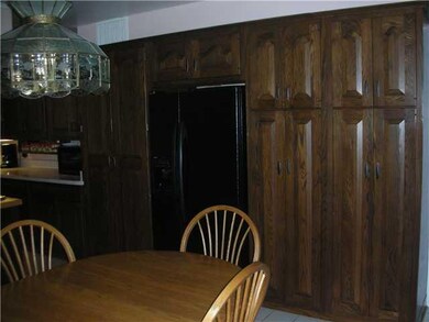 Kitchen wood mode cabinets