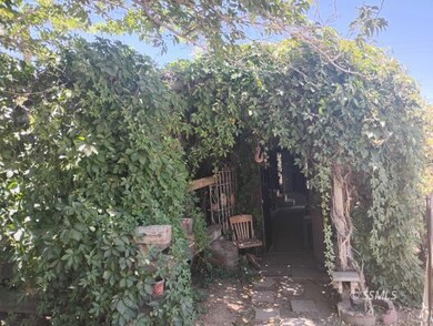Vine cover entrance