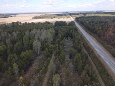 1890 Old Hwy S, Eudora, AR 71640 - photo 7