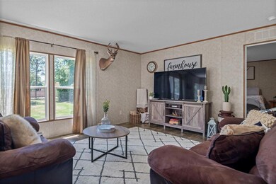 3916 June Bug Ln, Middleburg, FL 32068 - photo 4