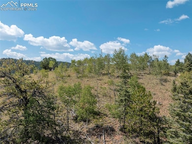 1151 Dandy Jim Dr, Cripple Creek, CO 80813 - photo 2