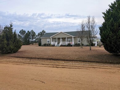 3821 Roscoe Dupriest Rd, Donalsonville, GA 39845 - photo 3