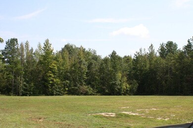 unlisted-address, Castalia, NC 27816 - photo 3