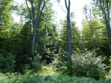 - Cramm Rd, Parsonsfield, ME 04047 - photo 4