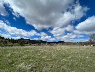 0 Highway 402 unit 22426528, Monument, OR 97864 - photo 6