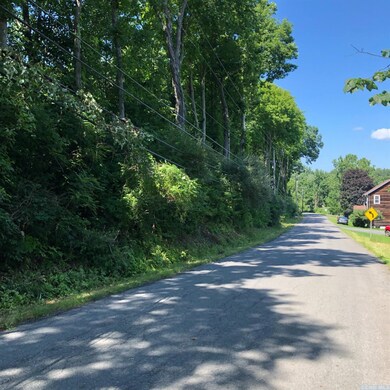 0 Old Route 82 unit 133687, Taghkanic, NY 12521 - photo 3