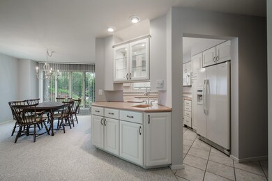 Kitchen and Wet Bar