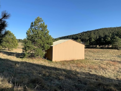 Lot 3 James Canyon Hwy unit 3, Cloudcroft, NM 88317 - photo 5