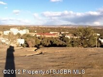 6380 Lakewood St, Farmington, NM 87402 - photo 5