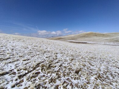 916 Chicha Rd, Hartsel, CO 80449 - photo 3