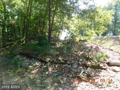 0 Rt 9 W unit 1001953478, Paw Paw, WV 25434 - photo 2