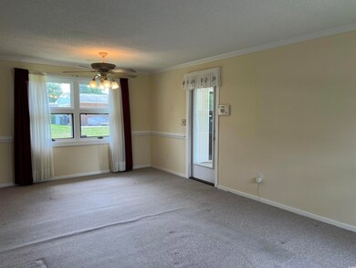 Carpeted spare room featuring crown molding, a tex