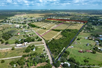 Tract D Stitzle Rd, Crandall, TX 75114 - photo 5