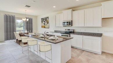 17624 Acorn Drop Rd, Land O' Lakes, FL 34638 - photo 4