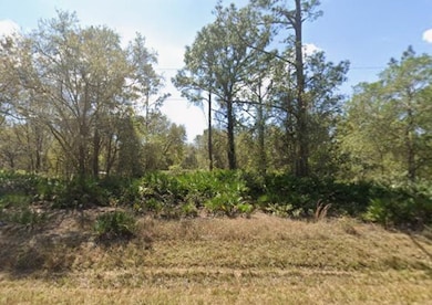 431 Carteret Rd, Georgetown, FL 32139 - photo 7