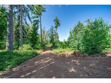 0 S Silver Lake Rd unit 1 23501672, Castle Rock, WA 98611 - photo 2