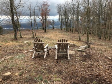 0 Hovering Hawk Dr unit RTC2912805, Jasper, TN 37347 - photo 6