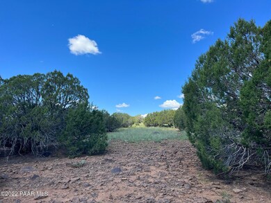 11 Route 66, Ash Fork, AZ 86320 - photo 6