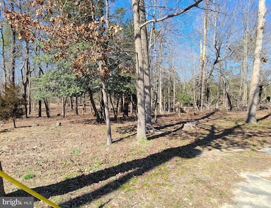 1001 NE Lakeshore Dr, Millville, NJ 08332 - photo 2