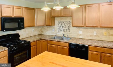 248 Tall Trees Cir, Downingtown, PA 19335 - photo 4