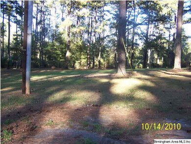 JUST TO GIVE YOU A VIEW OF PART OF THIS 7 ACRES. P