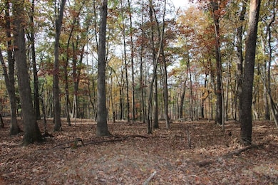 0 Easter Ridge Ln unit LotWP007 23743103, Gainesboro, VA 22603 - photo 4