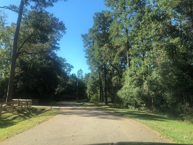 502 & 506 W Rollingwood, Pinehurst, TX 77362 - photo 4