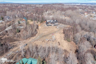 03-Aerials MS_0645