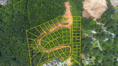 DJI_0824a
